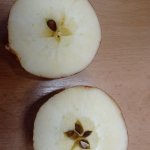 phoca_thumb_m_vnon tden 33 Fotogalerie